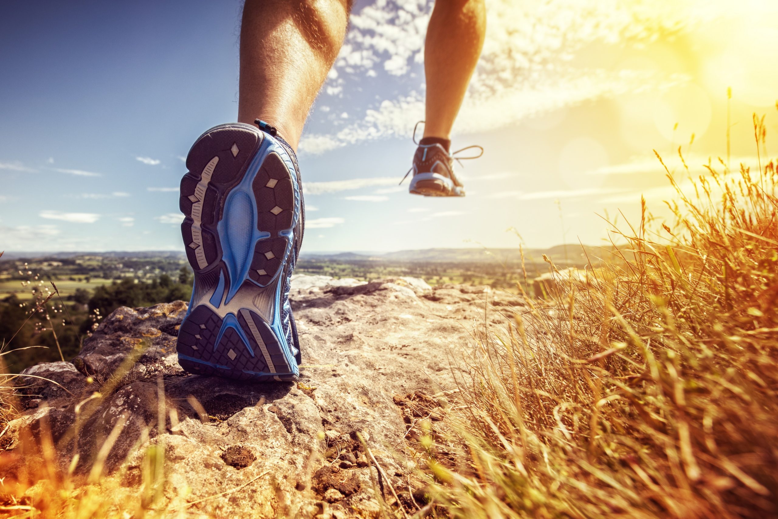 Harmony MediCall Spine Sports and Pain